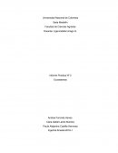 Informe salida forestal