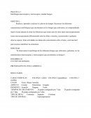 Practica 3 morfologia de hongos