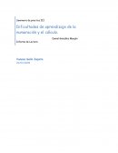 La educación básica en matemáticas