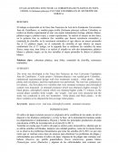 EVALUACION DEL EFECTO DE LA COBERTURA DE PLASTICO EN PAPA CRIOLLA (Solanum phureja) CULTIAR COLOMBIA EN EL MUNICIPIO DE SORACA.