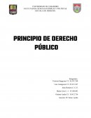 Principio de derecho publico