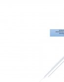 Estudio sistematico.