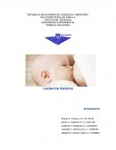 Lactancia materna. COMPONENTES DE LA LACTANCIA MATERNA