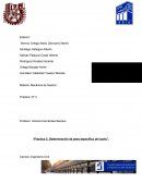 Práctica: Determinación de peso específico del suelo”