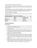 Por qué es importante la nutrición durante el embarazo?