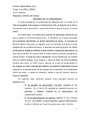 RESUMEN DE LA CONFERENCIA.