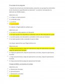 Teoria del desarrollo matematico.