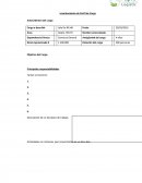 Levantamiento de Perfil de Cargo.