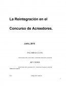 El derecho concursal, específicamente centrada en la reintegración en el concurso de acreedores
