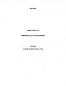 TRABAJO FINAL BIOLOGIA