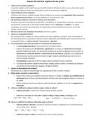 Repaso de Química Orgánica.