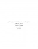 Una Organizacion promotoras de la prevención dentro de la empresa.