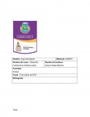 Desarrollo Comercial en América Latina.