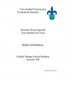 El punto de partida para entender con claridad el tema de “delitos informáticos”, es dejar claro que no todas las acciones que no son aceptables para la sociedad pueden denominarse “delitos” como tal.