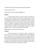 Contaminacion del suelo por metales pesados.