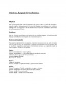 Practica 1. Lenguaje termodinámico.