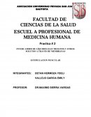 Practica de estimulacion muscular.