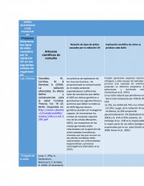 DAÑOS OCASIONADOS POR RADIACION UV. Página 1