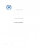 Sistema Económico Actual - Mercadotecnia y Publicidad