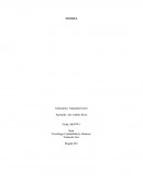 Tecnólogo Contabilidad y finanzas.