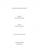 Analisi de la pelicula taare Zameen par.