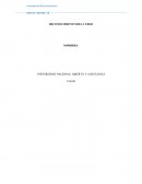 Trabajo final colaborativo 1