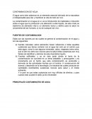 CONTAMINACION DE AGUA - ENSAYO
