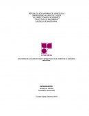 Aplicación del analisis de vigas y estructuras en el campo de la ingenieria industrial