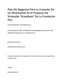 Plan De Negocios Para La Creación De Un Minimarket