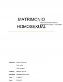 Matrimonio Homosexual.