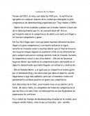 Crónicas De Un Skater