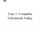 Valley ¿Qué crees que pasa en la vitivinícola Valley?
