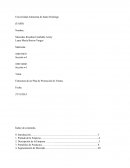 Estructura de un Plan de Promoción de Ventas