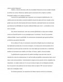 CAMBIO EN EL CONTEXTO ECONOMICO Y EFECTO EN LA GESTION FINANCIERA