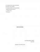 Licenciatura en Relaciones Internacionales Organismos Internacionales II