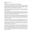 Reseña de Discurso de niña indígena en CEE en NL Natalia López