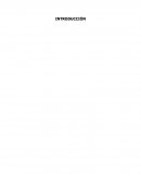 DESARROLLO LA OFICINA DE GESTIÓN DE LA ESTRATEGIA