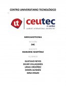 Ensayo Lios de ser Robin Hood