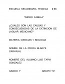 Causas de extincion del jaguar mexicano