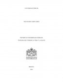 Culturas Juveniles TEOLOGIA DE CUIDADO LA VIDA Y LA SALUD