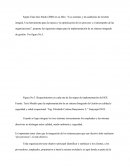 METODOLOGIA PARA IMPLEMENTAR UN SIG EN NIAR