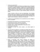 ¿Qué es una corporación?