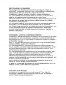 PROCESAMIENTO DE IMÁGENES. INTELIGENCIA ARTIFICIAL Y SISTEMAS EXPERTOS