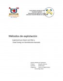 Informe base