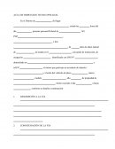 Acta de inspeccion tecnico policial