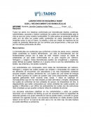 INFORME DE RECONOCIMIENTO DE BIOMOLÉCULAS