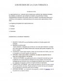 LOS HUESOS DE LA CAJA TORÁCICA