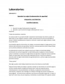 Laboratorio 1: Aprender las reglas fundamentales de seguridad