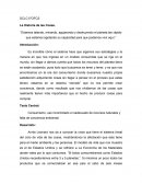 Ensayo la historia de las cosas.