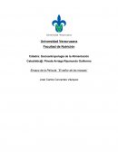 Ensayo de la Película: ¨El señor de las moscas¨